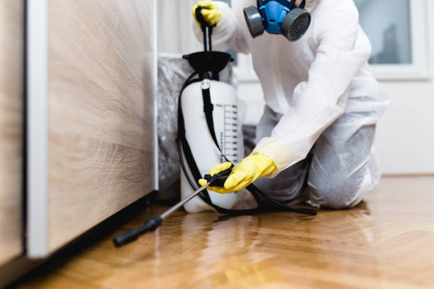 Trusted West End Cobb Town, AL Pest Control Experts