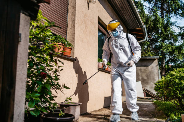Best Wasp Removal Services  in West End Cobb Town, AL