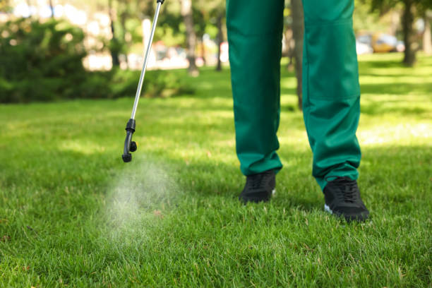 Best Pest Control Near Me  in West End Cobb Town, AL