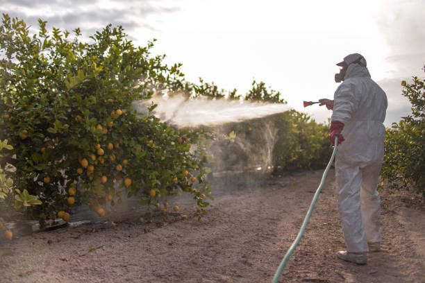 Best Insect Control  in West End Cobb Town, AL